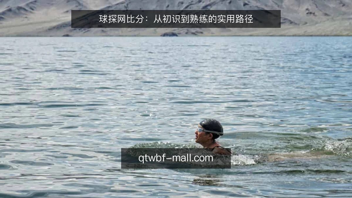 球探网比分：从初识到熟练的实用路径